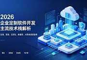 成都软件开发